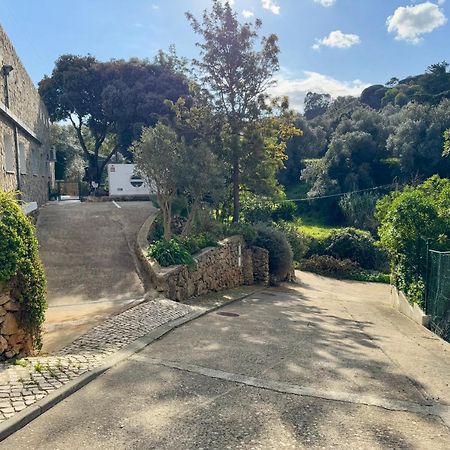 Casa Star Daire Ericeira Dış mekan fotoğraf