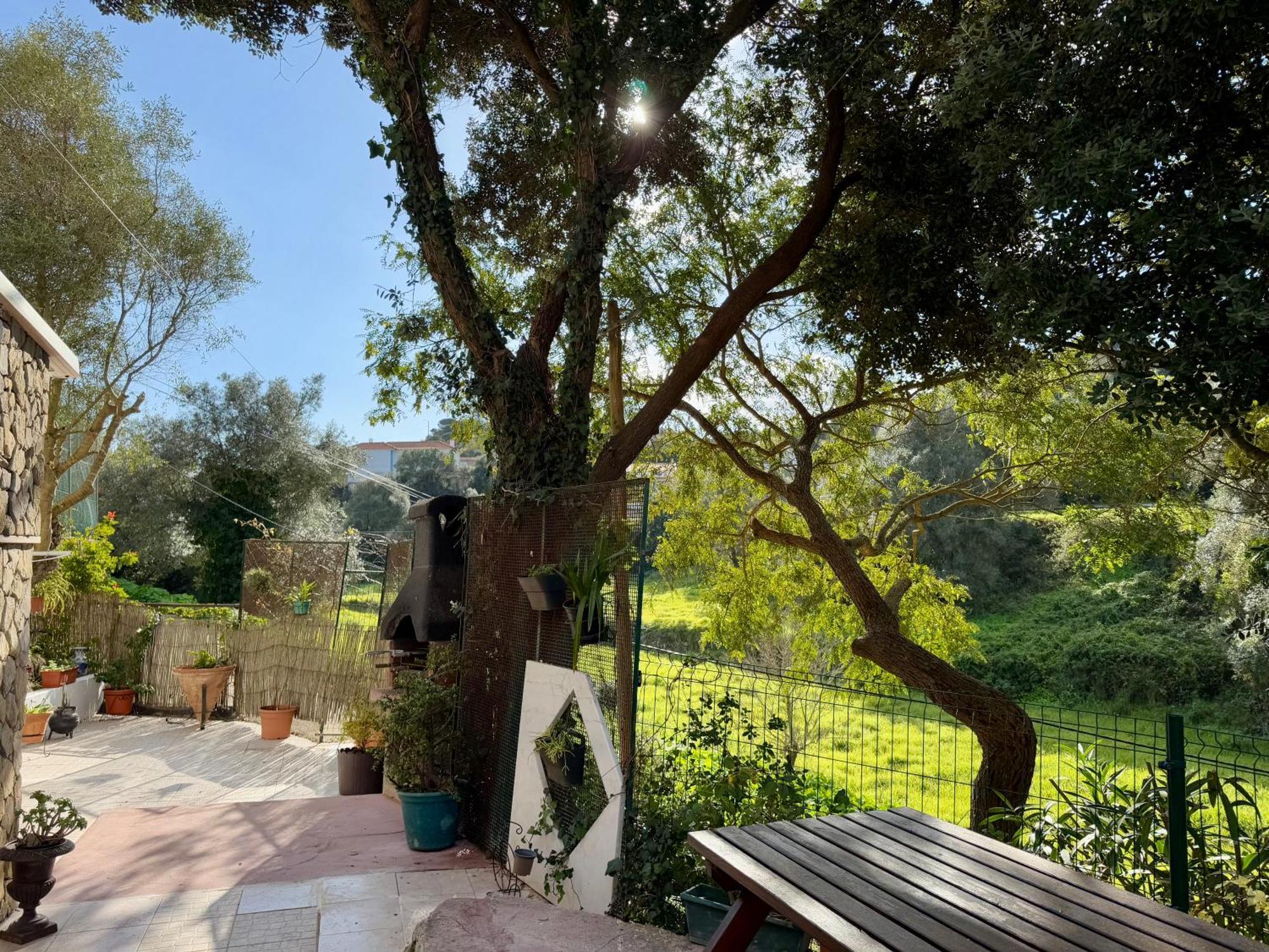 Casa Star Daire Ericeira Dış mekan fotoğraf
